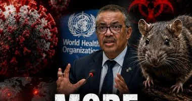 كل ما تريد معرفته عن فيروس هانتا القاتل فى 12 معلومة