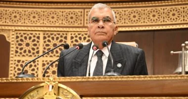 مجلس الشيوخ يرفع جلساته والعودة للانعقاد 8 يونيو