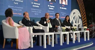 محمود محيى الدين: تمكين القطاع الخاص مفتاح النمو المستدام فى مصر
