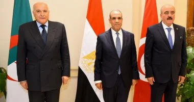 مصر والجزائر وتونس تدفع نحو انتخابات ليبية عاجلة.. وتحذير من الانقسام