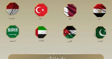 مصر ودول عربية وإسلامية تدين أفعال المتطرف بن غفير بحق المشاركين في أسطول الحرية