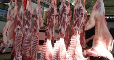 هل الضانى مضر بالصحة؟..القومى للبحوث يجيب على أسئلة تناول اللحوم فى العيد