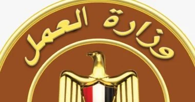 وزارة العمل تعلن عن فرص عمل بدمياط براتب 13 ألف جنيه