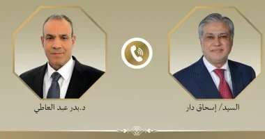وزير الخارجية يبحث مع نظيره الباكستاني سبل تعزيز العلاقات وخفض التصعيد الإقليمي