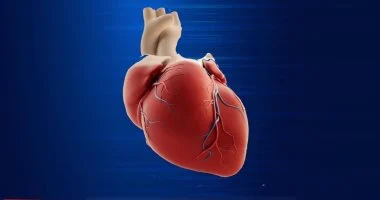 7 نصائح غذائية فى الصيف لحماية القلب.. توصيات الأطباء