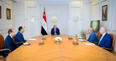 الرئيس السيسى يؤكد ضرورة التوسع في أنظمة تخزين الطاقة لتعظيم عوائد الطاقات المُتجددة