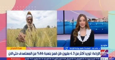 الزراعة: توريد القمح يتجاوز 4.3 مليون طن لأول مرة