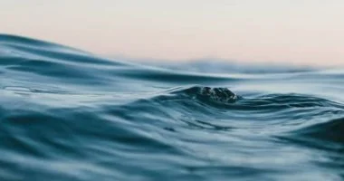 اليوم العالمى للمحيطات.. دعوة لحماية رئة الأرض والحفاظ على الحياة البحرية