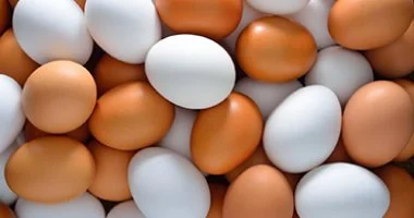 انخفاض ملحوظ فى أسعار بيض المائدة.. ما هو السبب؟