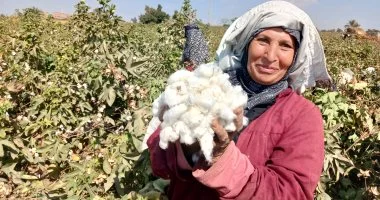 جهاز الاحصاء: 182.2 ألف قنطار متري كمية الاقطان المستهلكة عام 2025