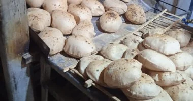 سعر رغيف الخبز المدعم.. اعرف آليات التطبيق بالمنظومة الجديدة