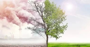 فى يوم البيئة العالمى.. تقرير يكشف عن الاعتداءات على التغطية البيئية