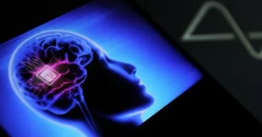 كيف يؤثر هرمون التوتر على نمو الدماغ.. دراسة تكشف تفاصيل جديدة