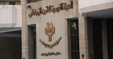 للمصريين العاملين بالخارج.. كيف تشترك فى التأمينات لتحصل على معاش لك ولأسرتك؟