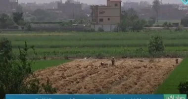 مركز المناخ يحذر: موجة شديدة الحرارة تضرب البلاد بدءاً من الجمعة المقبل