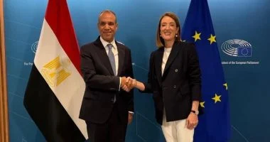 وزير الخارجية يؤكد أهمية تبادل الخبرات مع الاتحاد الأوروبى فى مكافحة الإرهاب