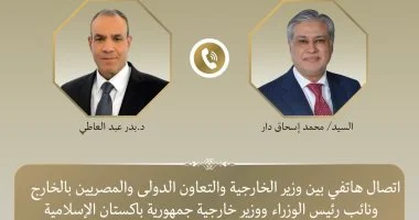 وزير الخارجية يبحث مع نظيره الباكستاني التطورات الإقليمية