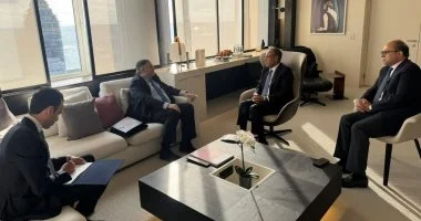 وزير الخارجية يلتقى المدير التنفيذي لمجموعة “كوبيلوزوس”بشأن الربط الكهربائي