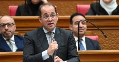 وزير المالية يعلن إطلاق أول «موبايل أبلكيشن» لخدمات الضرائب العقارية