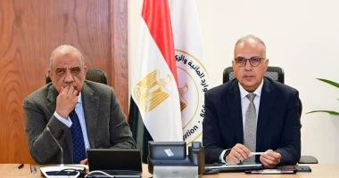 وزيرا الري والكهرباء يبحثان التوسع في استخدام الطاقة الشمسية بمحطات الرفع