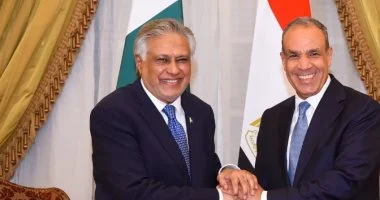 وزيرا خارجية مصر وباكستان يؤكدان أهمية التنسيق فى القضايا الإقليمية والدولية
